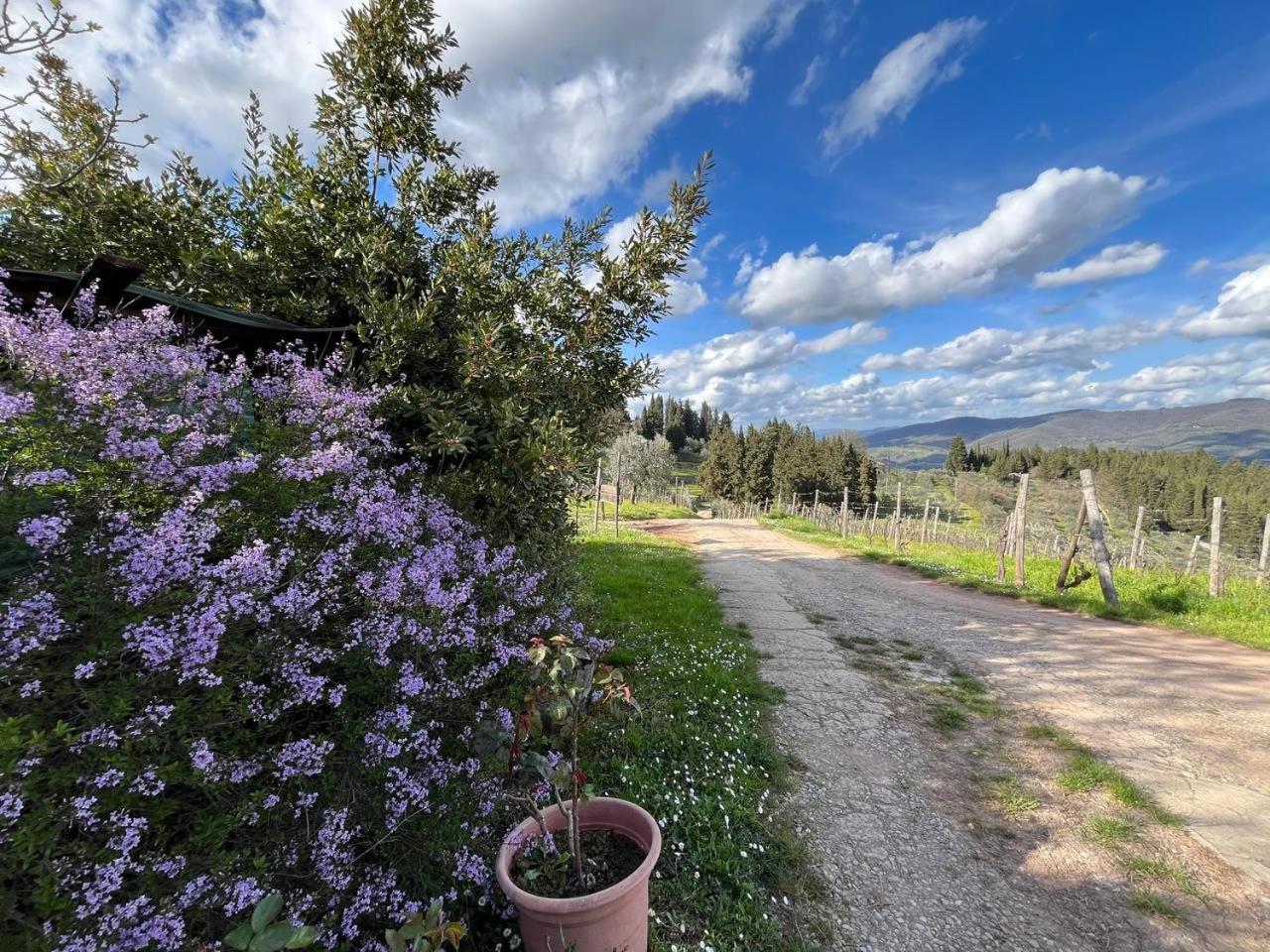 Gasthaus Il Cascino Greve in Chianti Exterior foto