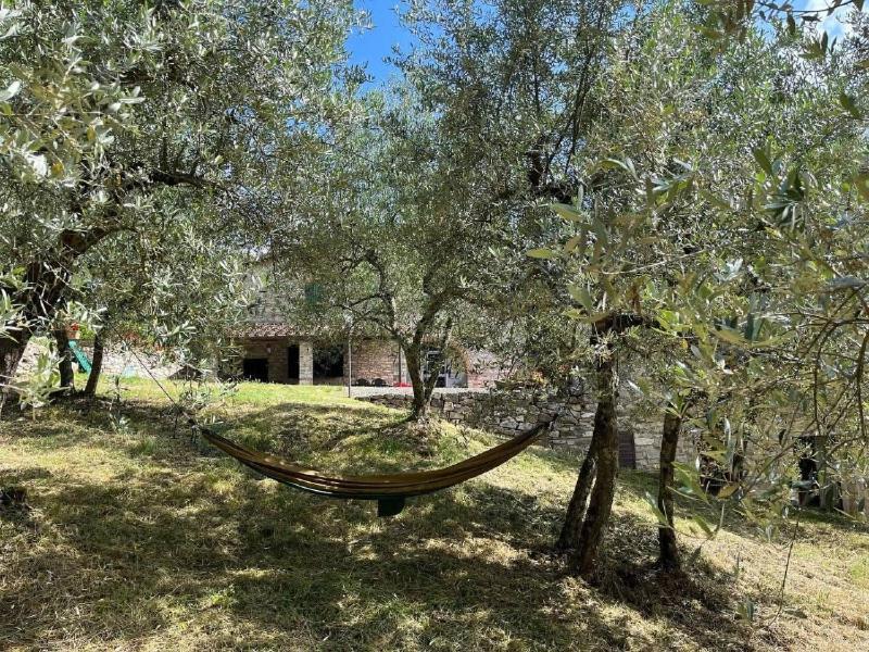Gasthaus Il Cascino Greve in Chianti Exterior foto