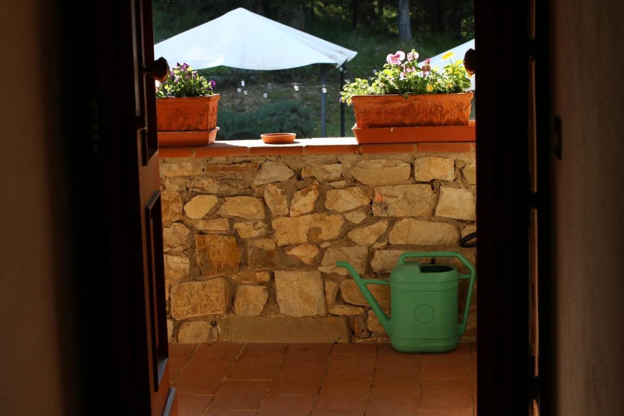 Gasthaus Il Cascino Greve in Chianti Exterior foto